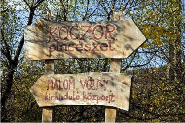 Koczor Winery & Guesthouse บาลาตอนฟือเรด ภายนอก รูปภาพ