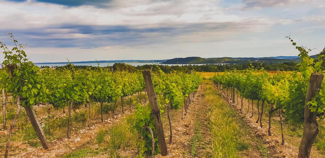 Koczor Winery & Guesthouse บาลาตอนฟือเรด ภายนอก รูปภาพ