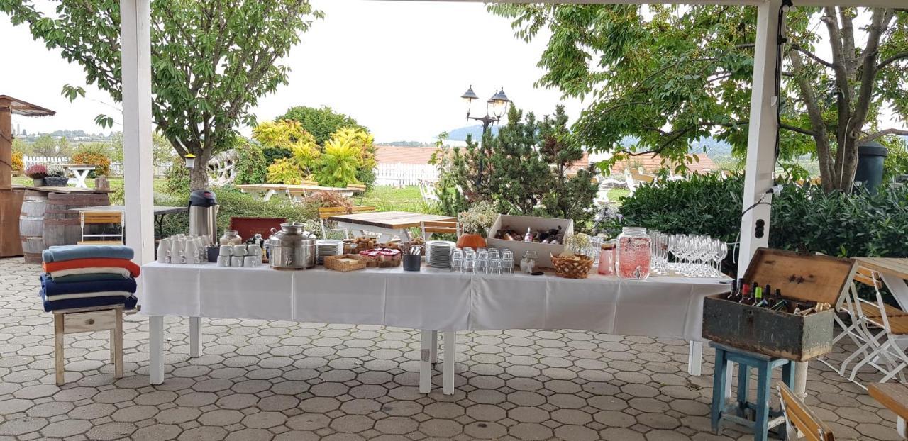 Koczor Winery & Guesthouse บาลาตอนฟือเรด ภายนอก รูปภาพ