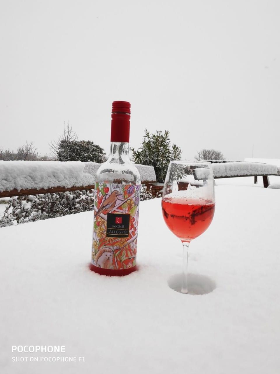Koczor Winery & Guesthouse บาลาตอนฟือเรด ภายนอก รูปภาพ