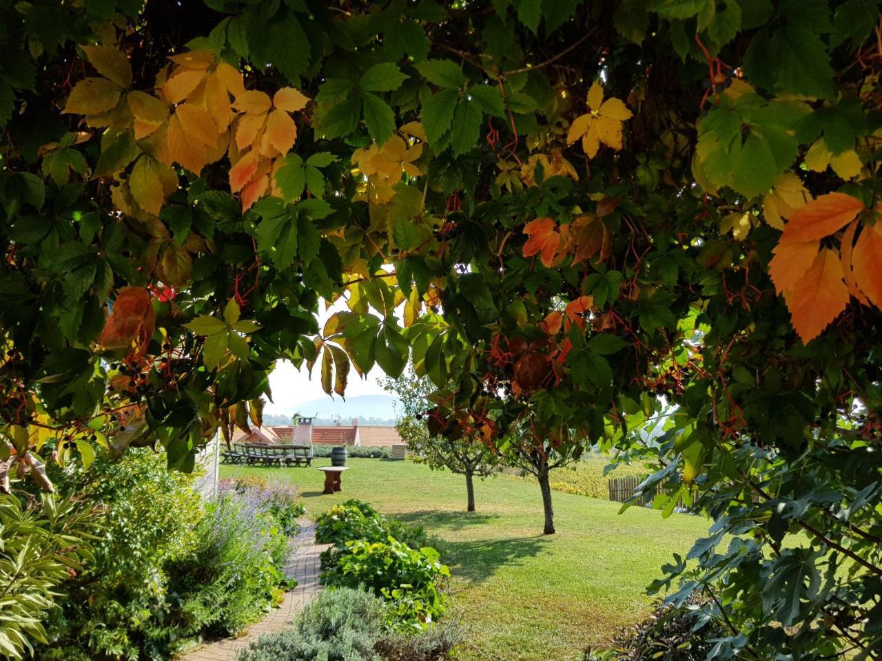 Koczor Winery & Guesthouse บาลาตอนฟือเรด ภายนอก รูปภาพ